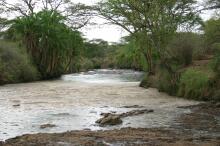 Fluss in der Serengeti